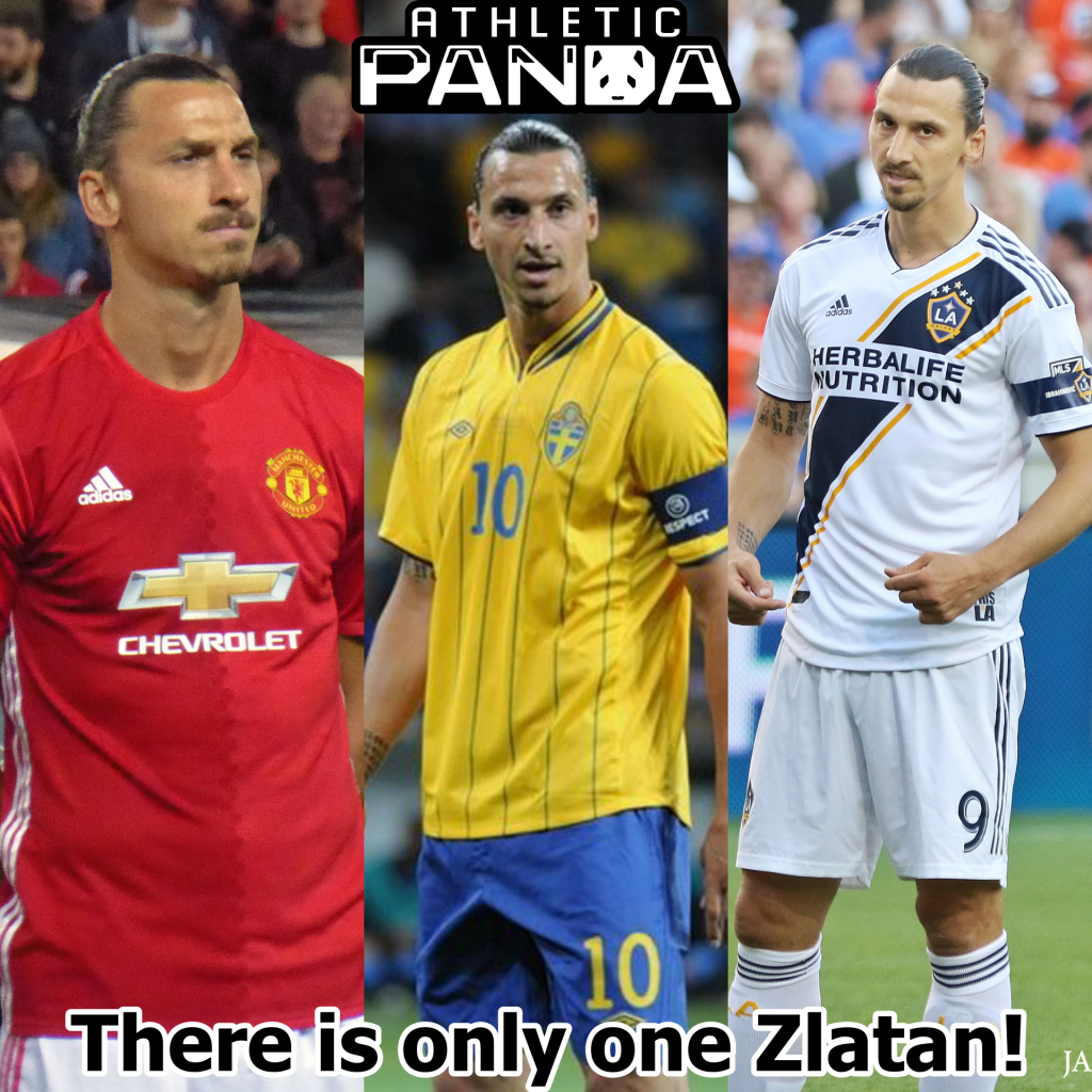 zlatan ibrahimovic stats