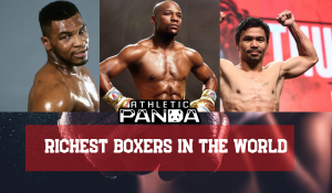 Richest Boxers